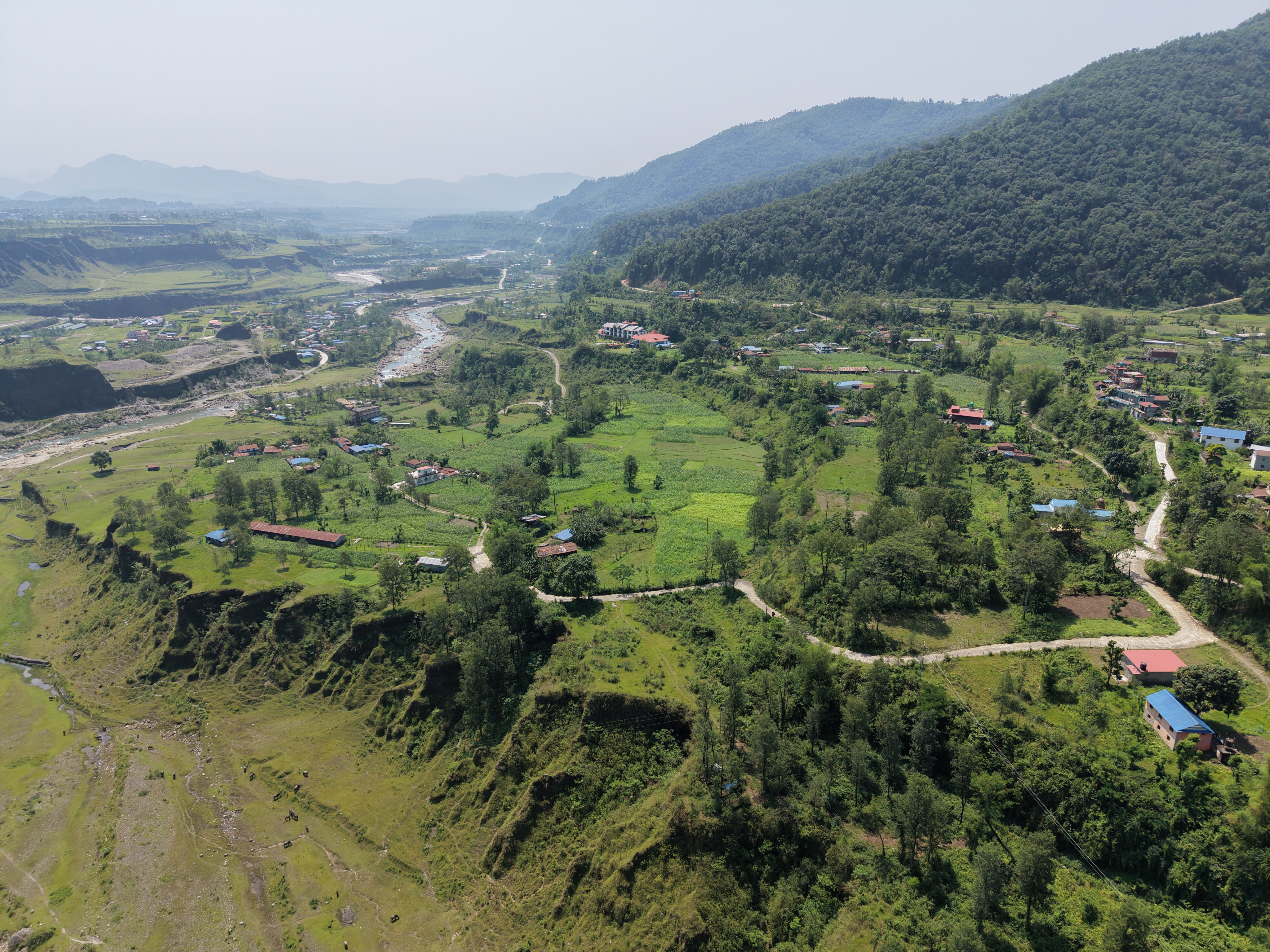 डम्सादी फाँट