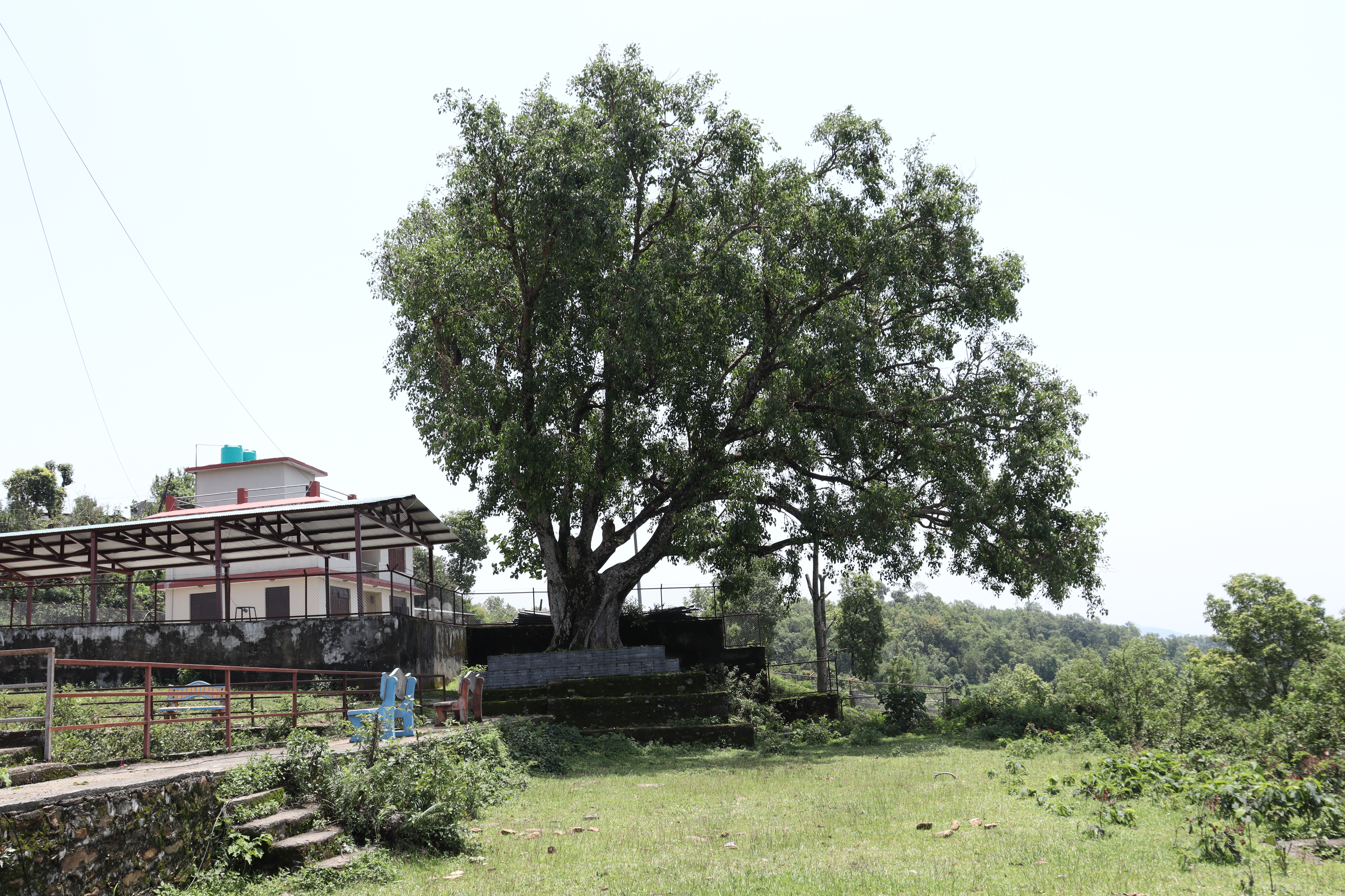 डाँडापोखरीमा रहेको परम्परागत चौतारो
